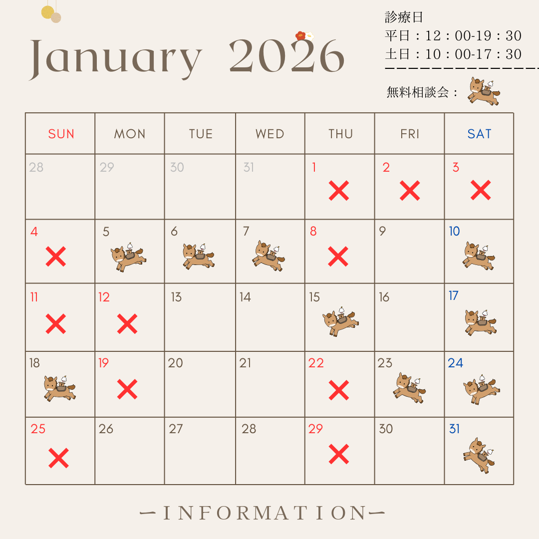 🎍１月無料相談会のお知らせ🐎